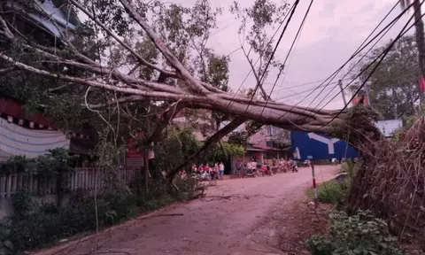 Yên Bái dông lốc khiến 1 người bị thương, 59 nhà dân bị ảnh hưởng