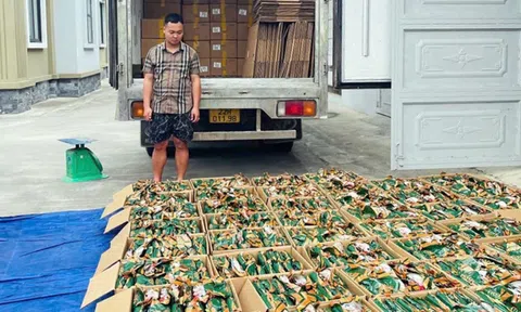 Tuyên Quang thu giữ hơn 5 tấn chân gà đông lạnh không rõ nguồn gốc