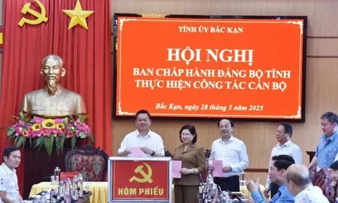 Bắc Kạn bầu bổ sung một Phó Bí thư Tỉnh ủy
