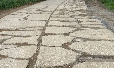 Huyện miền núi Yên Bái đầu tư 100 tỉ đồng tu sửa đường liên xã