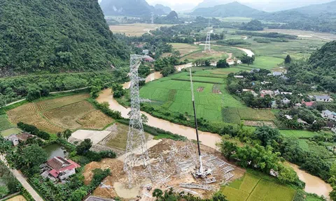 Gia cố đường tạm để thi công dự án đường dây 500kV Lào Cai - Vĩnh Yên