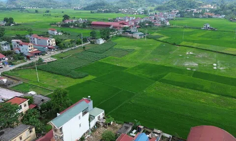 Khu tái định cư cao tốc vẫn là ruộng lúa, dân mong sớm khởi công