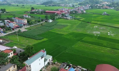 8 đơn vị trúng thầu xây dựng khu tái định cư cao tốc Đồng Đăng - Trà Lĩnh
