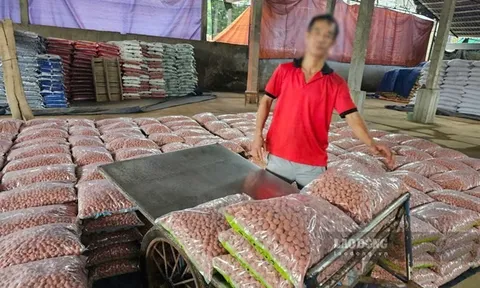 Nhiều cơ sở sản xuất phân bón ở Lào Cai bất ngờ khóa cửa, chuyển hàng hóa đi nơi khác