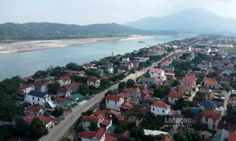 Phú Thọ đầu tư hàng chục tỉ đồng tu bổ, sửa chữa đê điều